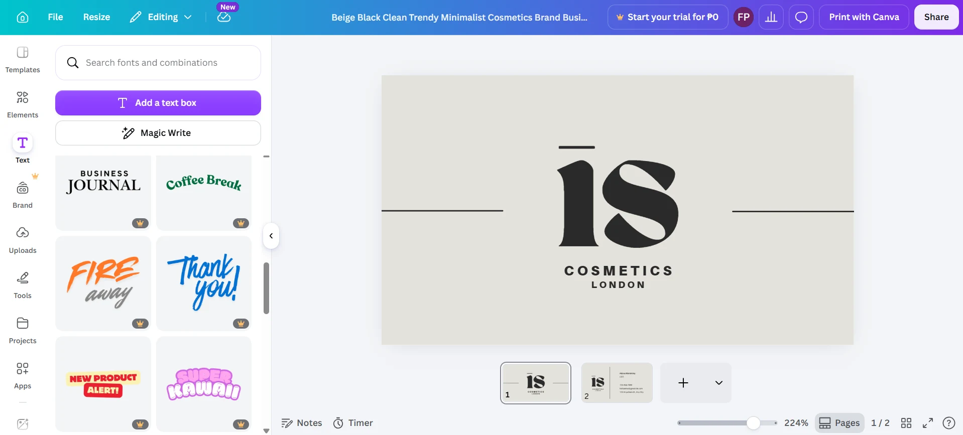 Canva editor showing elements locked behind Canva Pro subscription